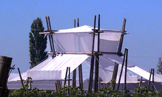 INTA EXPO 2008