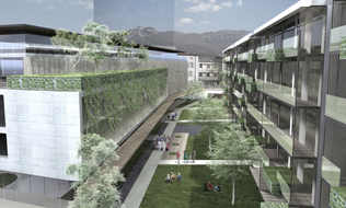 TNH COMPLEX